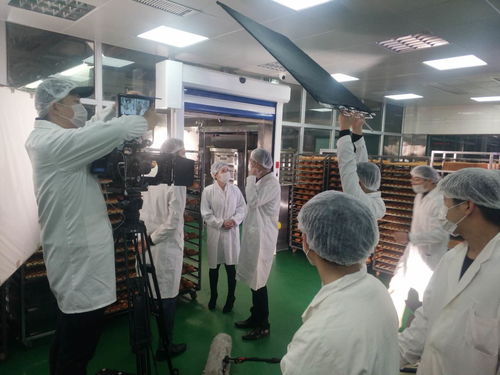 烏魯木齊短片拍攝公司 專業影像服務與商務秘書支持的卓越優勢